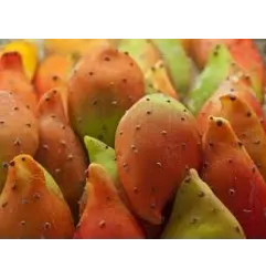 Stampo frutta martorana Fico d ' India