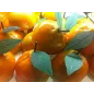 Foglie per frutta martorana Mandarino