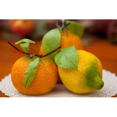 Foglie Limone pronte per frutta martorana