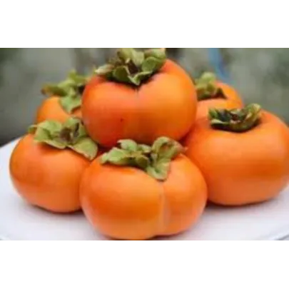 Hojas para caqui de fruta martorana