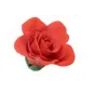 Stampo ad incisore per Rosa Grande Stampo ad incisore per Rosa Grande