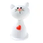 Gattini San Valentino di Zucchero Gattini San Valentino di Zucchero