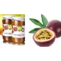 Paste aromatizzanti in Vasetto vari Gusti di Frutta
