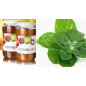 Paste aromatizzanti in Vasetto vari Gusti di Frutta
