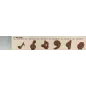 Stampo cioccolatini Note Musicali