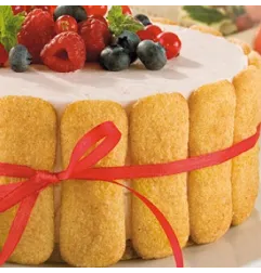 Preparato per Charlotte e Bavaresi
