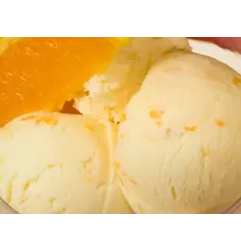 1.25 kg Preparato per gelato ACE