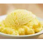 1.25 kg Preparato per gelato Limone di Sicilia 1.25 kg Preparato per gelato Limone di Sicilia