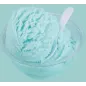 Pasta gelato Cielo Azzurro Aromitalia 3,5 kg Pasta gelato Cielo Azzurro Aromitalia 3,5 kg