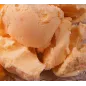 Pasta per Gelato frutta gusto Pesca 3.5 KG Pasta per Gelato frutta gusto Pesca 3.5 KG