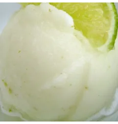 Pasta per Gelato alla frutta Acidulina 3.5 KG