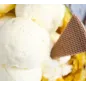 Pasta per Gelato alla frutta Ananas 3.5 KG Pasta per Gelato alla frutta Ananas 3.5 KG