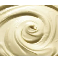 Veteado BON BON COCCO para helado 3.5 KG