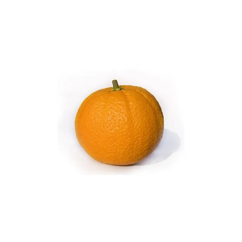 Olio Essenziale di Arancio dolce spugna 250g Olio Essenziale di Arancio dolce spugna 250g