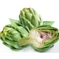 Stampo frutta martorana Carciofo