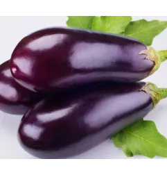 Stampo frutta martorana Melenzana
