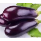Moule aubergine pour fruits de Martorana