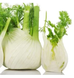 Stampo frutta martorana Finocchio