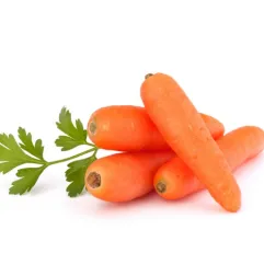 Stampo frutta martorana Carota