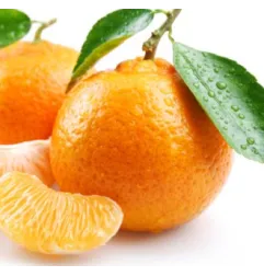 Stampo frutta martorana Mandarino