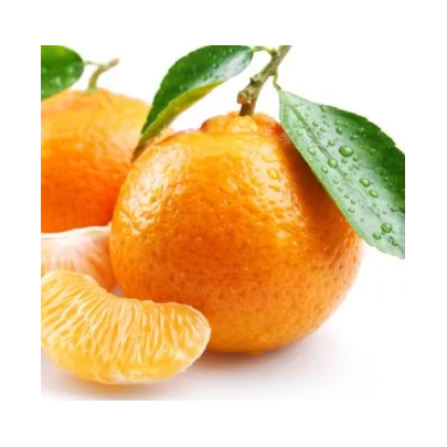 Stampo frutta martorana Mandarino