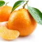 Molde de mandarina para fruta martorana Molde de mandarina para fruta martorana