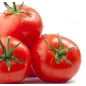Stampo frutta martorana Pomodoro Stampo frutta martorana Pomodoro