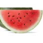 Stampo frutta martorana Anguria - Melone Stampo frutta martorana Anguria - Melone