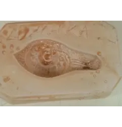 Stampo frutta martorana Lumaca