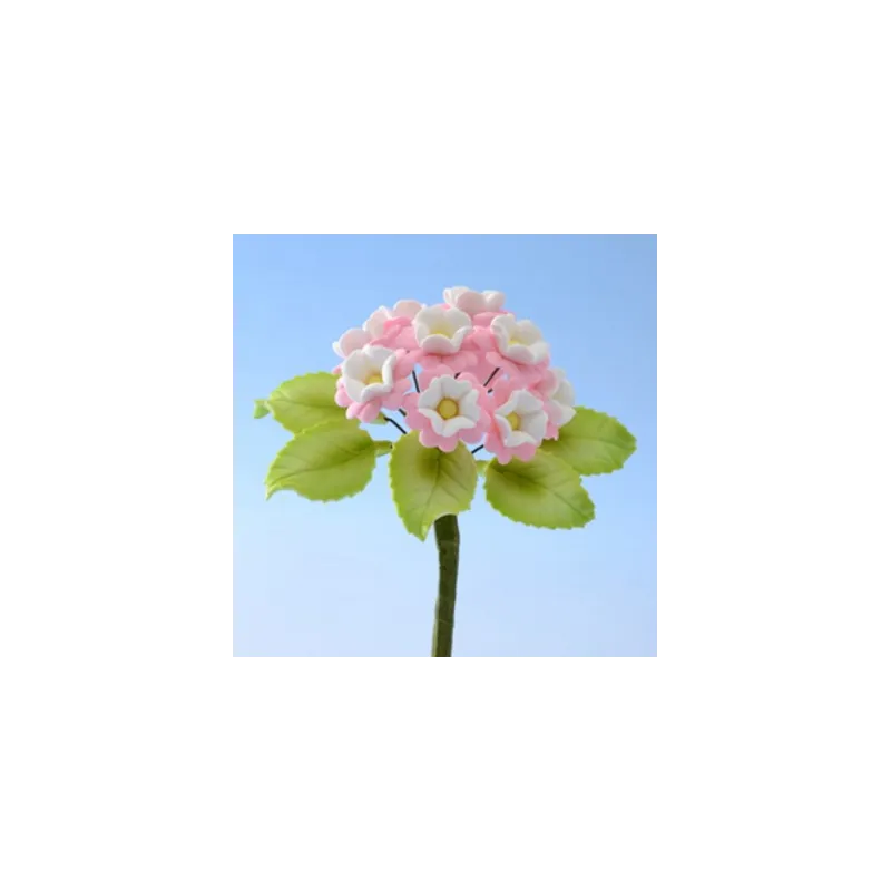 Ramo di Primula per decorazioni Ramo di Primula per decorazioni