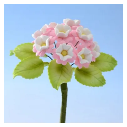 Ramo di Primula per decorazioni