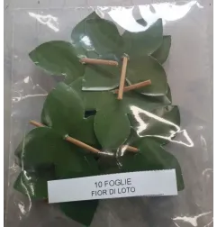 Foglie Frutta Martorana Kaki