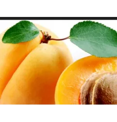 Foglia di Albicocca per frutta martorana