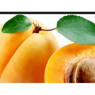 10 Hojas de Colores para Albaricoques y Fruta Martorana