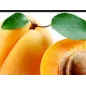 10 Foglioline Colorate per Albicocca e Frutta Martorana