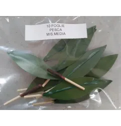 Foglie per frutta martorana Pesca