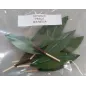 Foglie per frutta martorana Pesca Foglie per frutta martorana Pesca