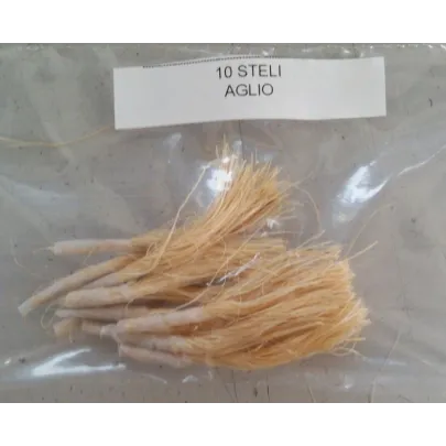 Foglie di Aglio frutta martorana