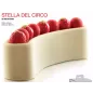 Stella-del-Circo-Set für Semifreddo Stella-del-Circo-Set für Semifreddo