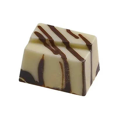 Stampo cioccolatini Rettangolari in policarbonato