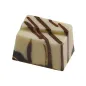 Stampo cioccolatini Rettangolari in policarbonato Stampo cioccolatini Rettangolari in policarbonato