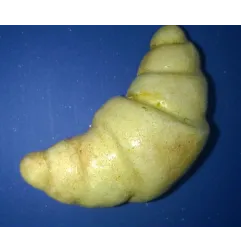 Stampo Cornetto per frutta martorana