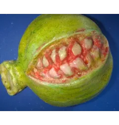 Stampo Melograno frutta Martorana