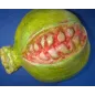 Stampo Melograno frutta Martorana Stampo Melograno frutta Martorana