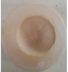 Stampo Arancia per Frutta Martorana