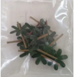 Blätter für Marzipanerdbeeren