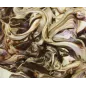 Pasta e Variegato per gelato Buono 5.5 KG Pasta e Variegato per gelato Buono 5.5 KG