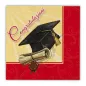 20 Tovaglioli Decorati per Laurea | 25 × 25 o 33 × 33 cm 20 Tovaglioli Decorati per Laurea | 25 × 25 o 33 × 33 cm