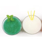 1.1 kg de préparation pour sorbet à la pomme verte 1.1 kg de préparation pour sorbet à la pomme verte