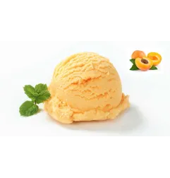 Pasta per Gelato frutta gusto Albicocca 3.5 kg